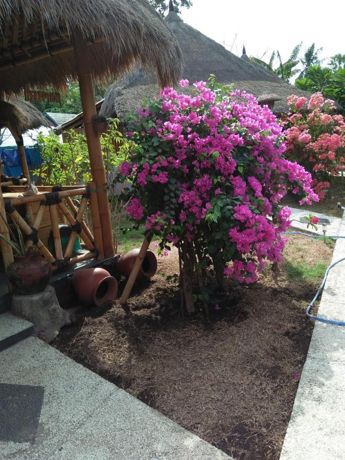 Tua Tua Keladi Bungalows Gili Air Luaran gambar